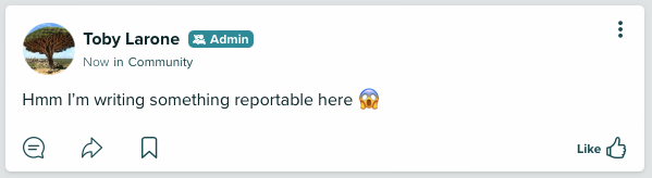 How to Report a Post 1 (bookmark).png