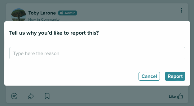 How to report a Post 2 (bookmark).png