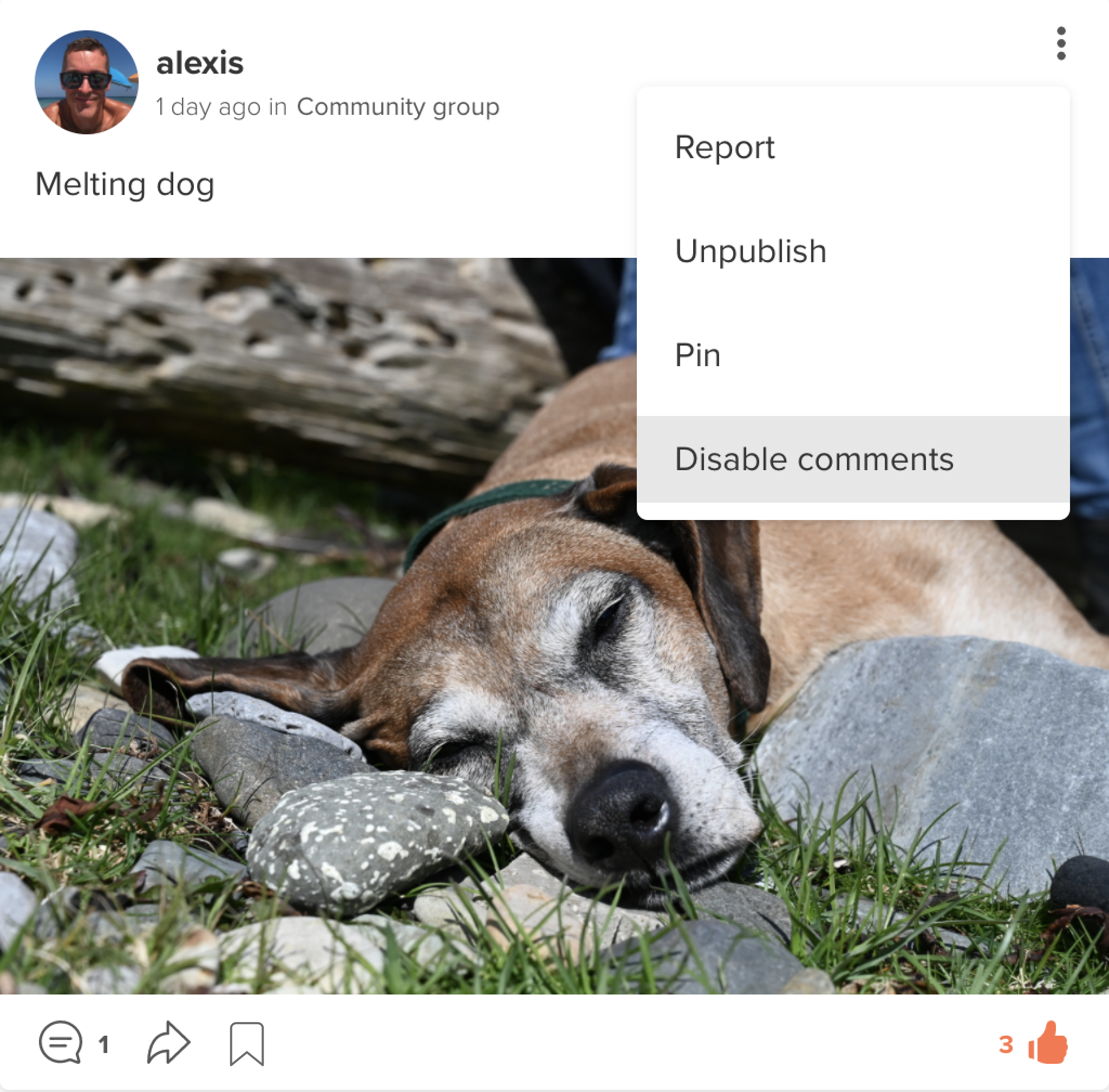 How do I give members extra permissions (bookmark).png