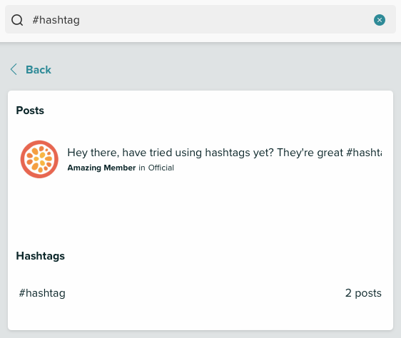 How to Use Hashtags 3.png